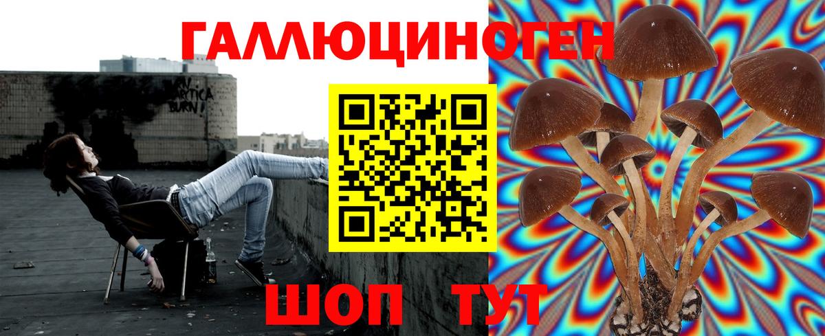Канаш  Галлюциногенные грибы мухоморы  Вход с VPN 